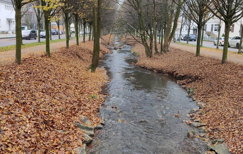 Wiembach Wanderweg von der Quelle zur Mündung