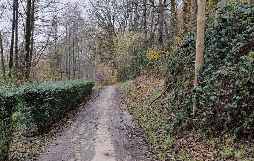 Das erste Dtück Wanderweg entlang der ersten Meter des Wiembachs