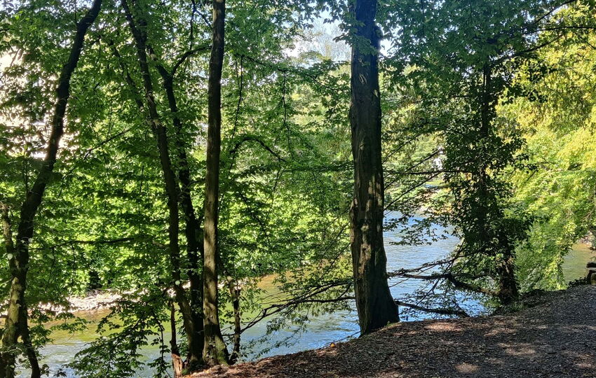 Eindrücke und Aussichten auf dem Landrat Lucas Wanderweg