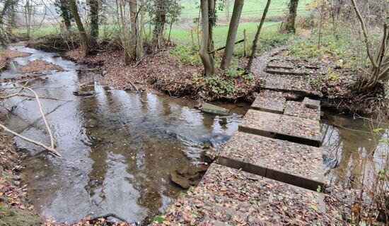 Wiembach Wanderweg von der Quelle zur Mündung