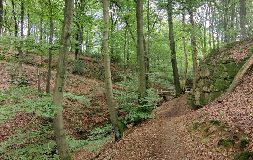 Eindrücke und Aussichten auf dem Landrat Lucas Wanderweg