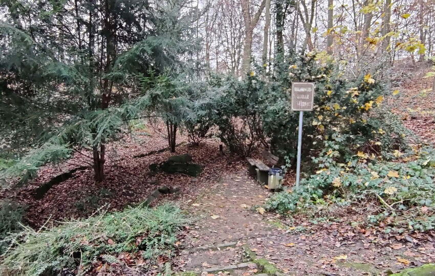 Wiembach Wanderweg von der Quelle zur Mündung