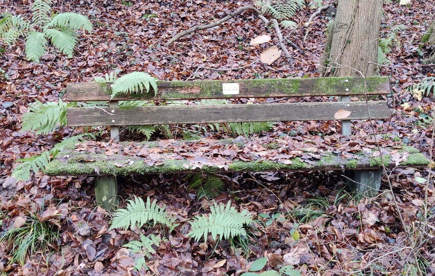 Wiembach Wanderweg von der Quelle zur Mündung