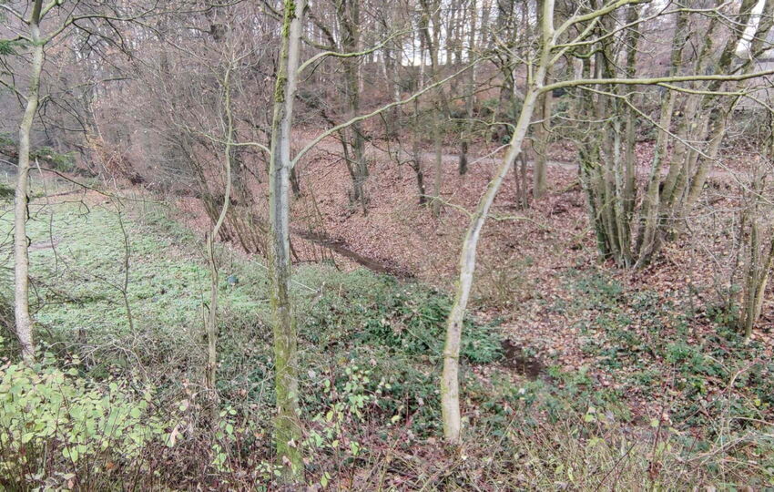 Der Wiembach als Rinnsal auf den ersten Metern nach der Quelle