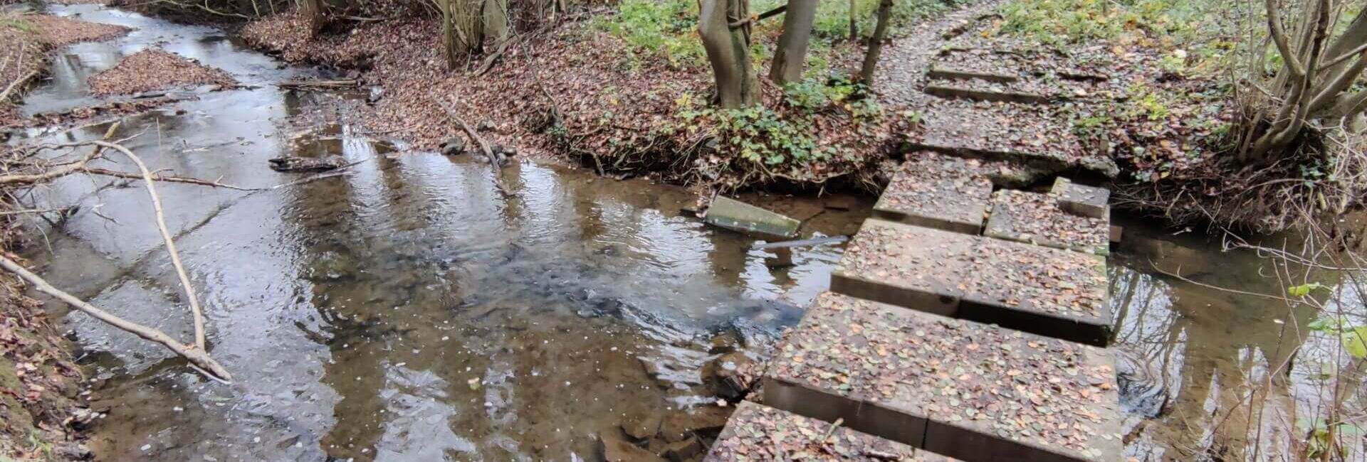 Wiembach Wanderweg von der Quelle zur Mündung