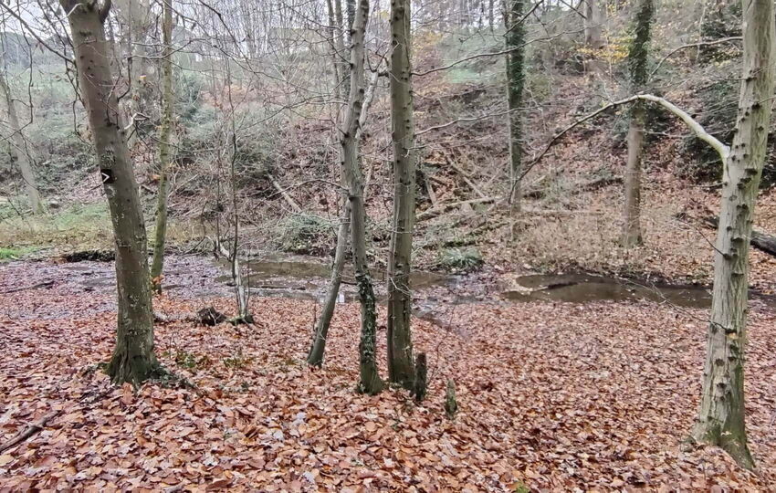 Wiembach Wanderweg von der Quelle zur Mündung